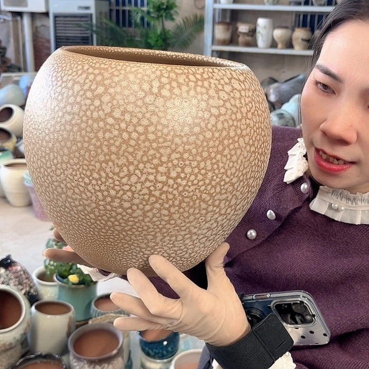 正品口19高23花盆买买买