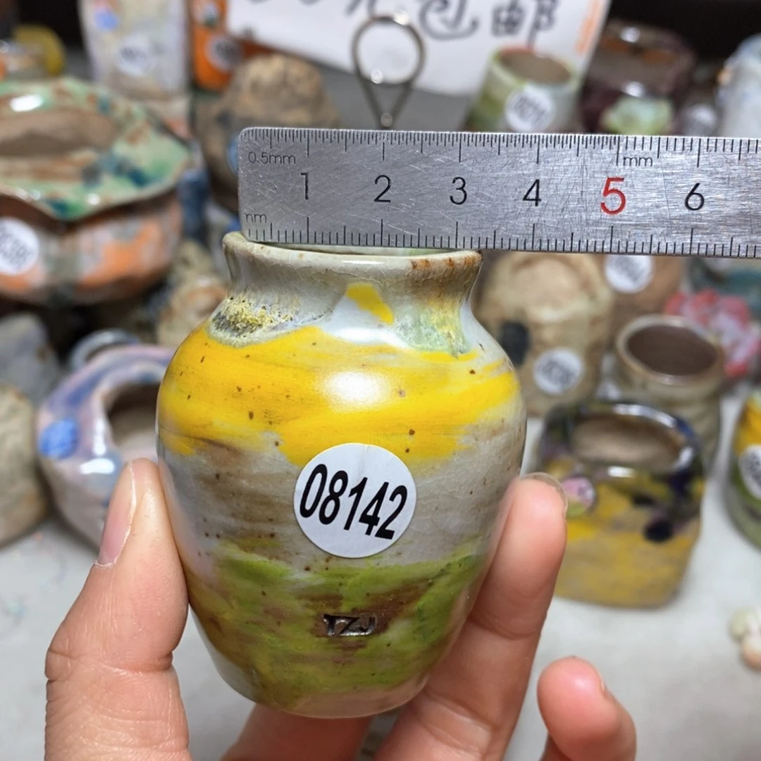 花盆拍5送一个小礼物