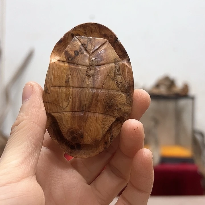 柏木小***义我们的生活也是如此的