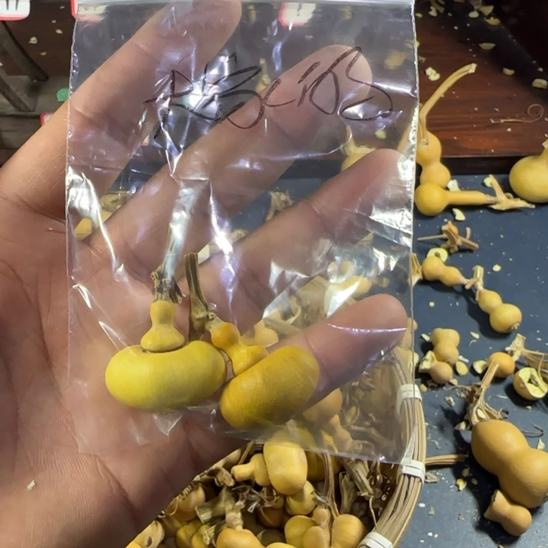 大***贝我的小姐姐们都是我的小可爱