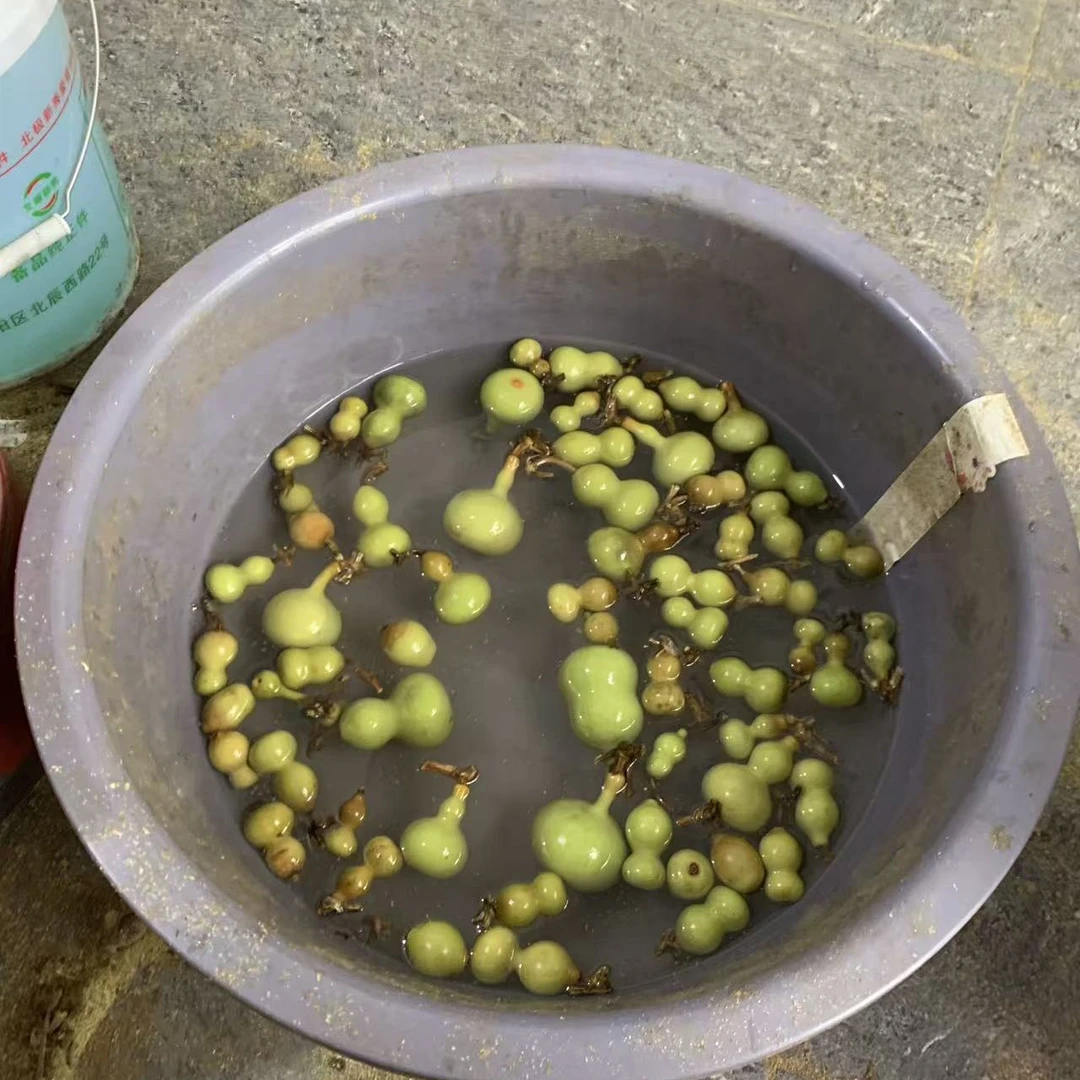 手捻葫芦干货随机三个