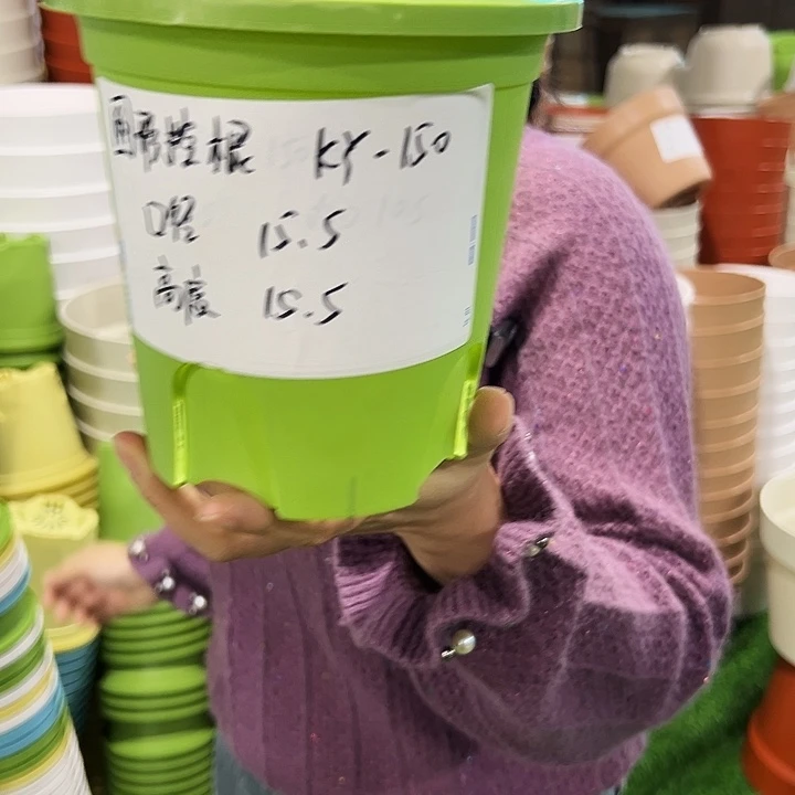 正品圆控口15高15果绿色无托10只