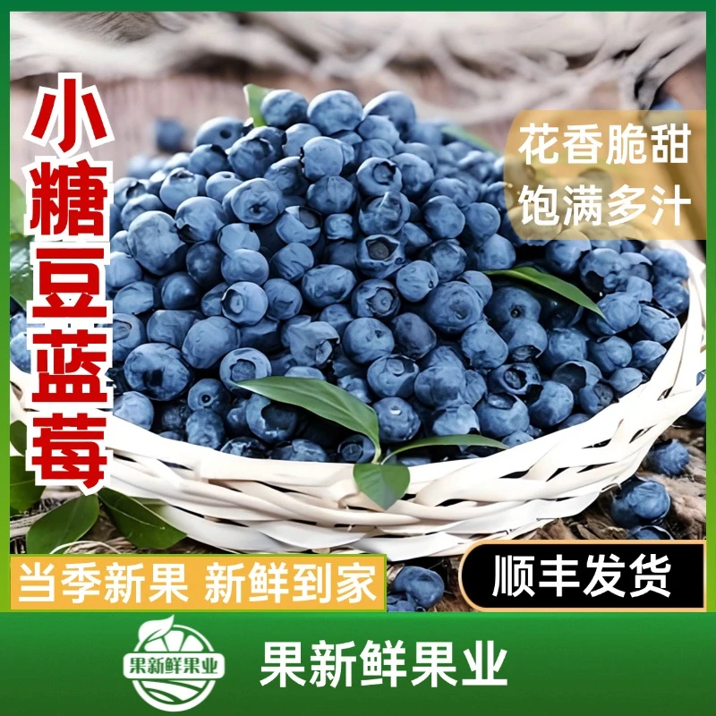 【云南小糖豆蓝莓】（果径12mm+ 约400克）花香脆甜饱满多汁酸甜可口新鲜应季同城包邮送货上门