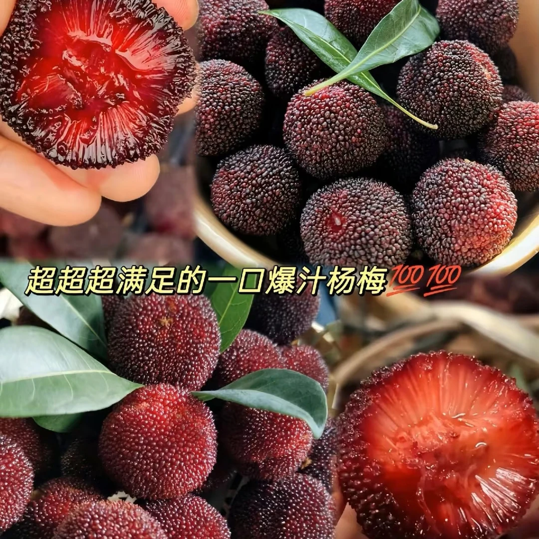 爆汁杨梅一盒240g