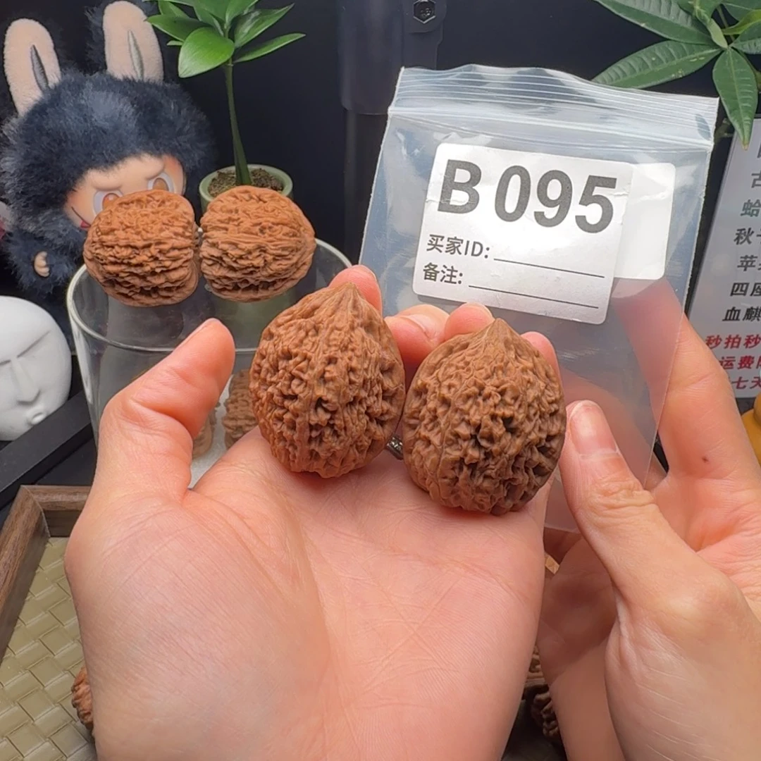 龙脊菩提把件全品大蒜头34