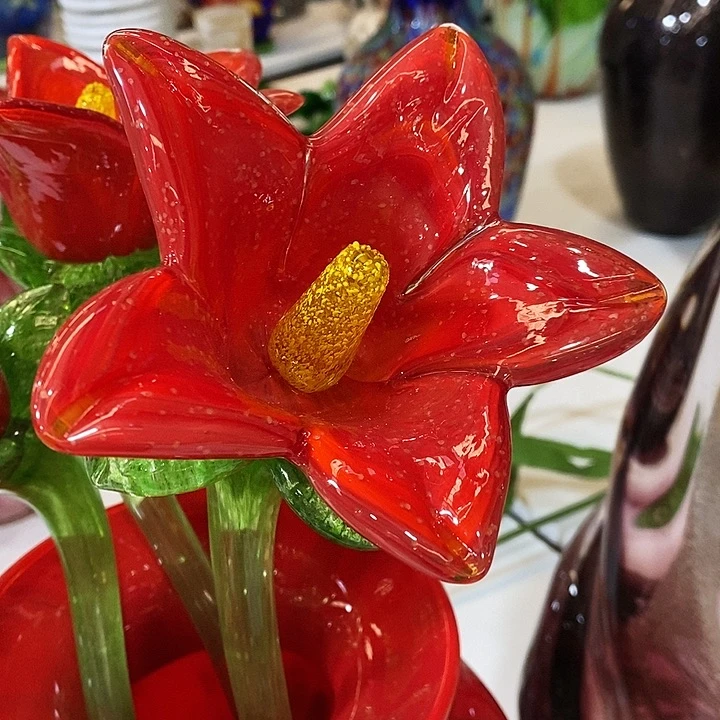 夜光花高45厘米宽10厘米