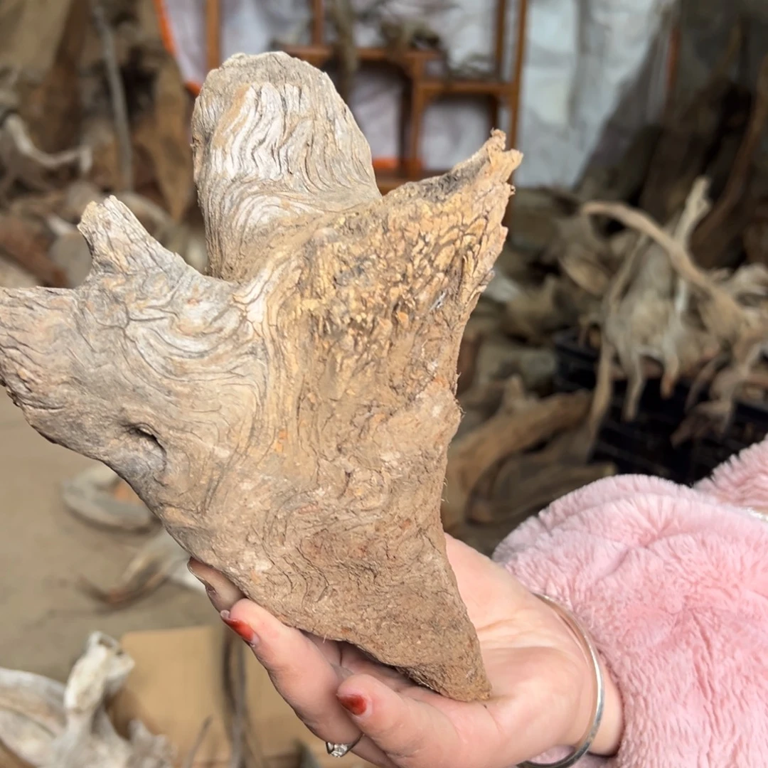 中***子柏木（崖柏）文玩根雕