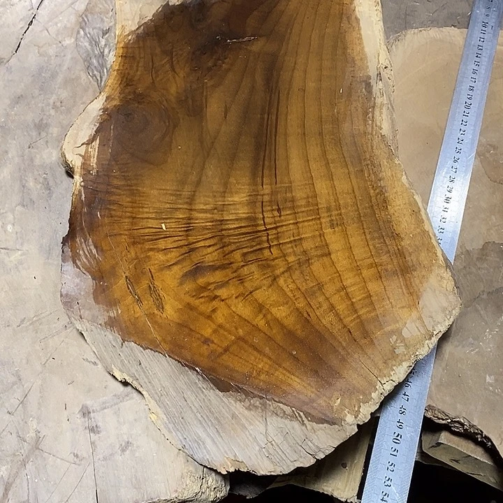 乌木类A*语金丝楠木小叶