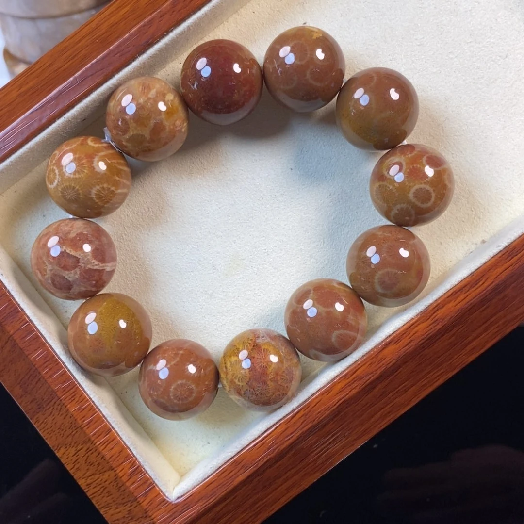 硅化珊瑚（珊瑚玉）未镶嵌手串福利500