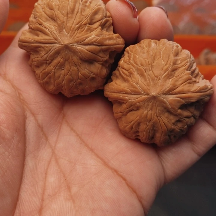 核桃铁锤41尺核桃
