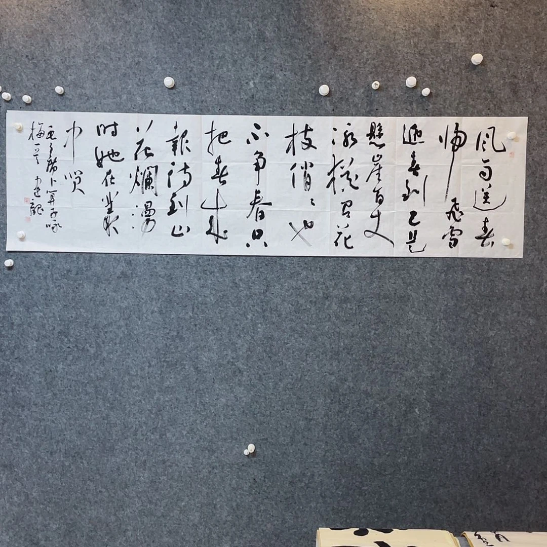 书法中书协会员杨建龙作品180×50