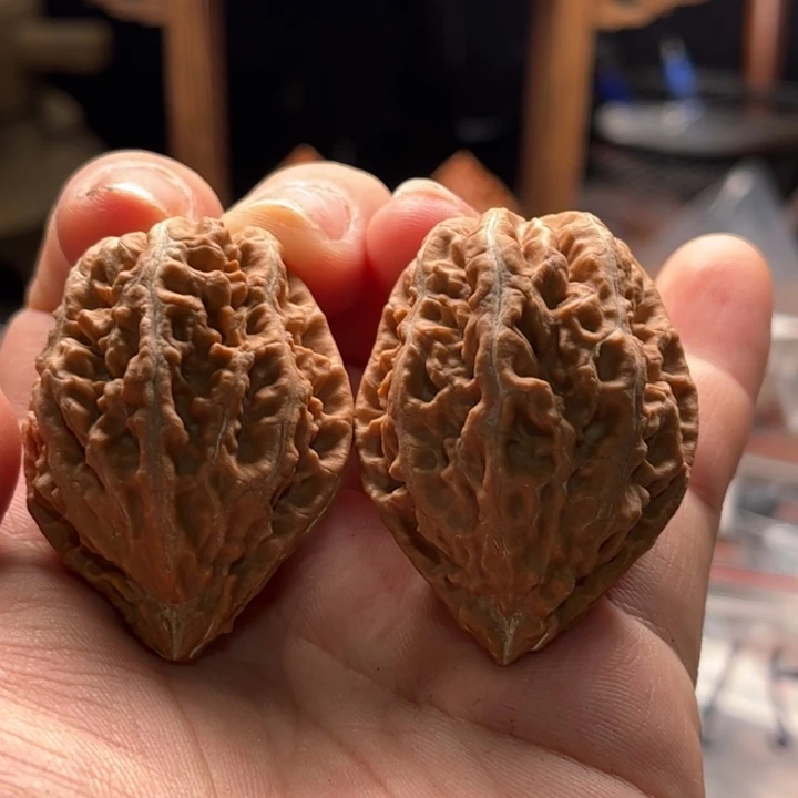 把件文玩核桃楸大胖27