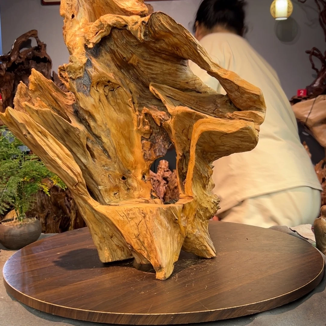 青***稞香杉木873aaaaaaaaa