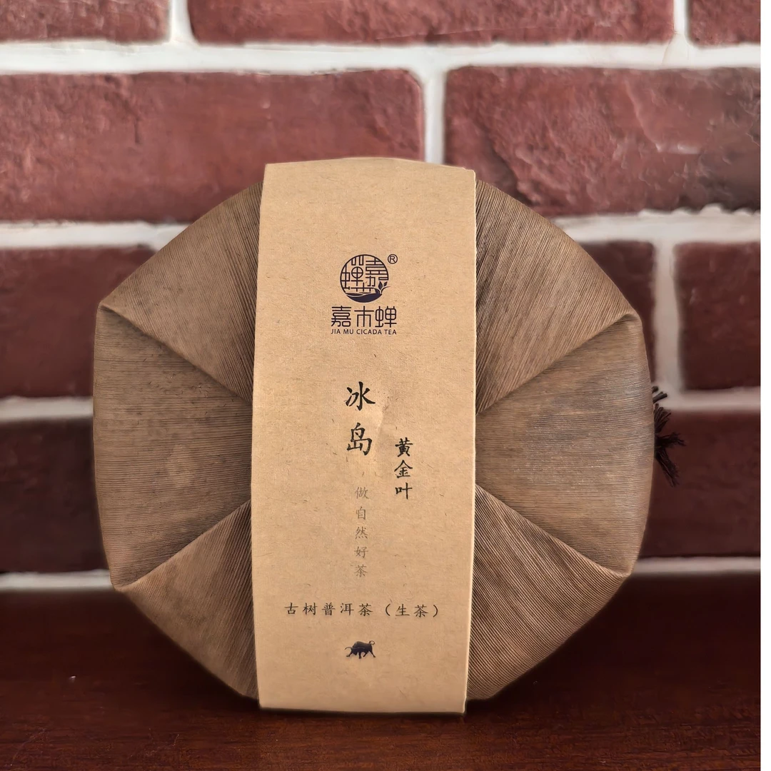 嘉木蝉——冰岛黄片生茶 坝歪老寨小户赛（2021）200g