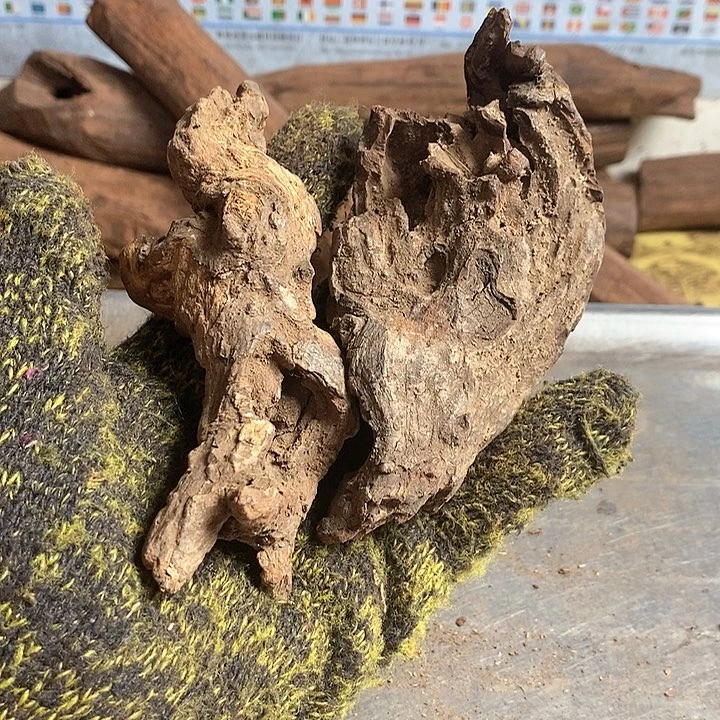 花梨木类陌*海南黄花梨