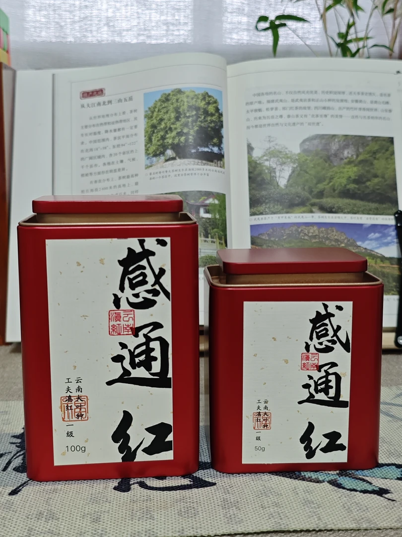 2024年古树红野红花果香蜜香甜润回甘生津临沧女生滇红推荐