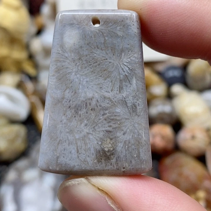 颈饰未镶嵌硅化珊瑚（珊瑚玉）小