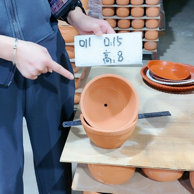 【闪购商品】红陶011-2