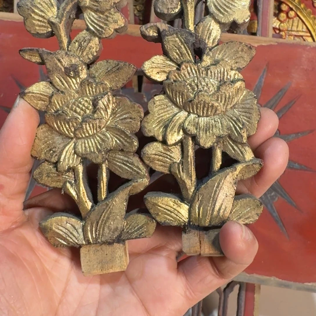 香榧木刘****9我们都市的生活