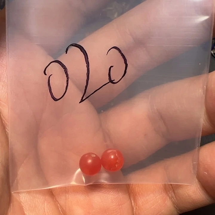 泥塑叶*舒三百直播频道