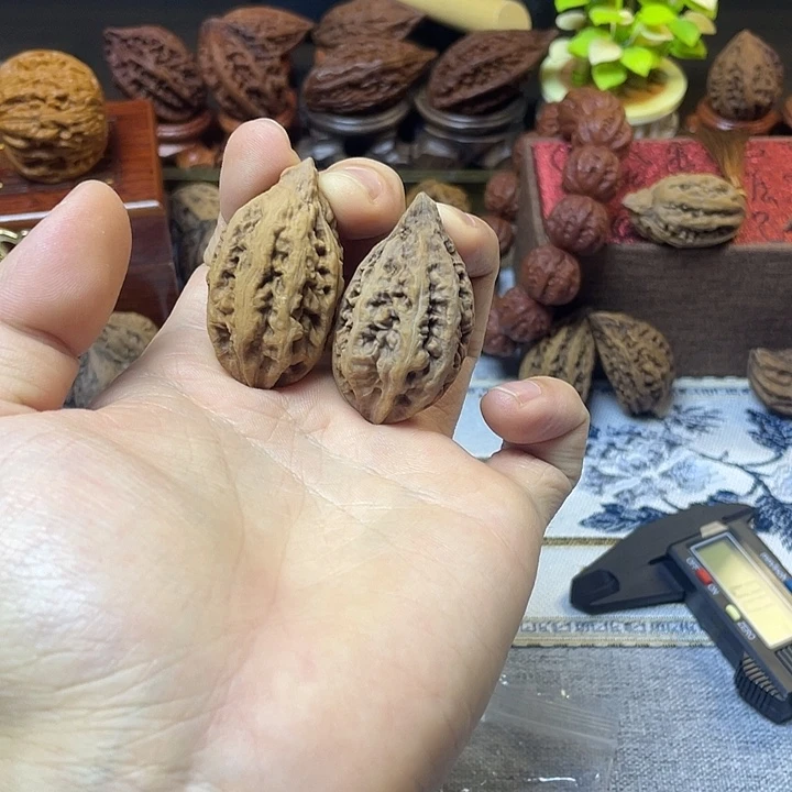 核桃东北楸子通天塔2