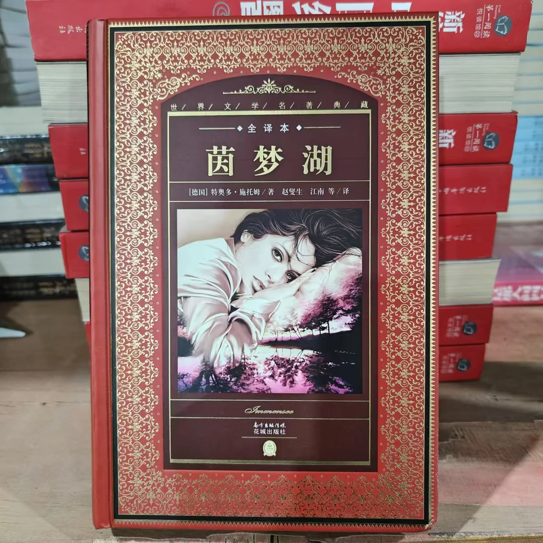 茵梦湖 国际经典名著 年底清仓 正版 微瑕微疵