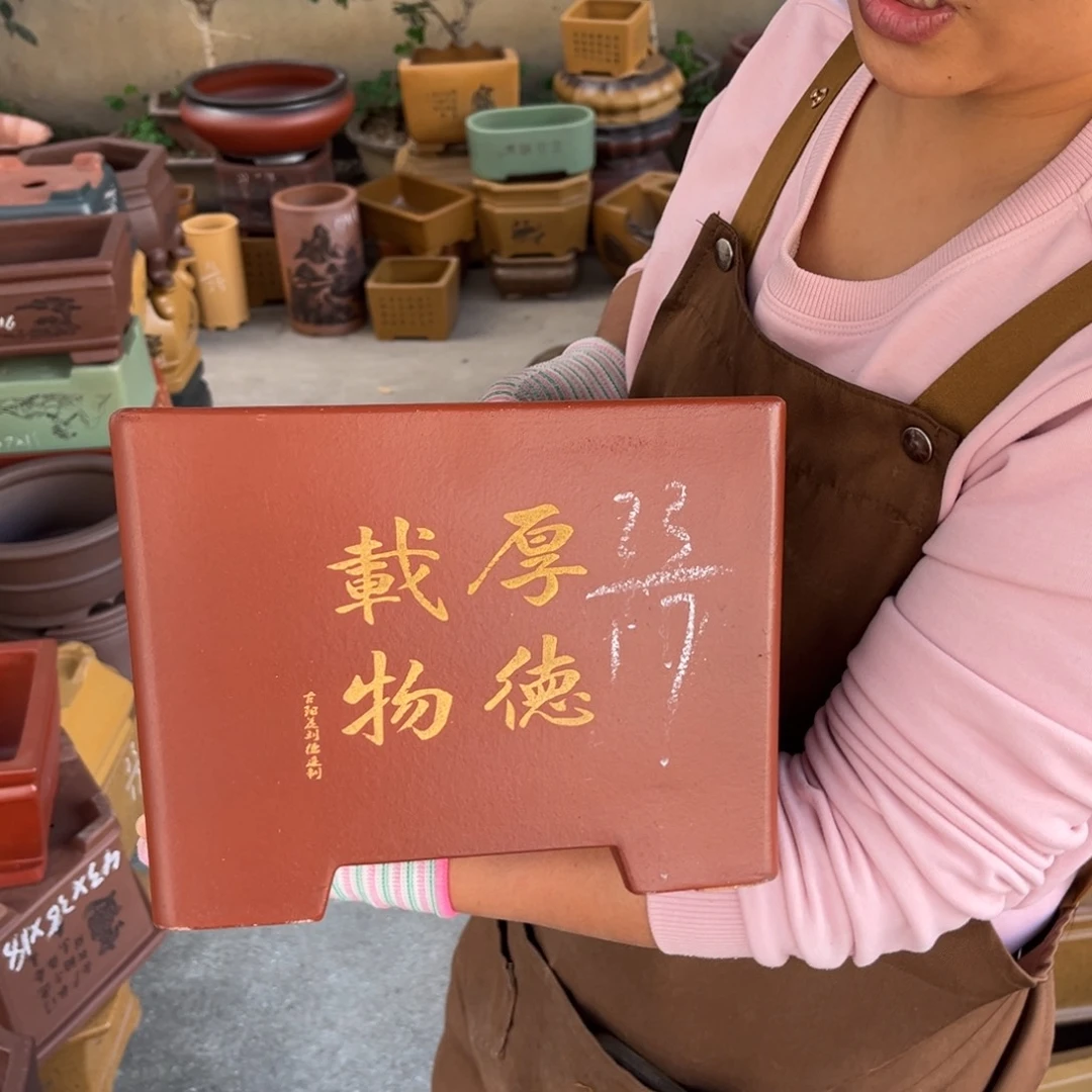 花盆紫砂盆景艺术