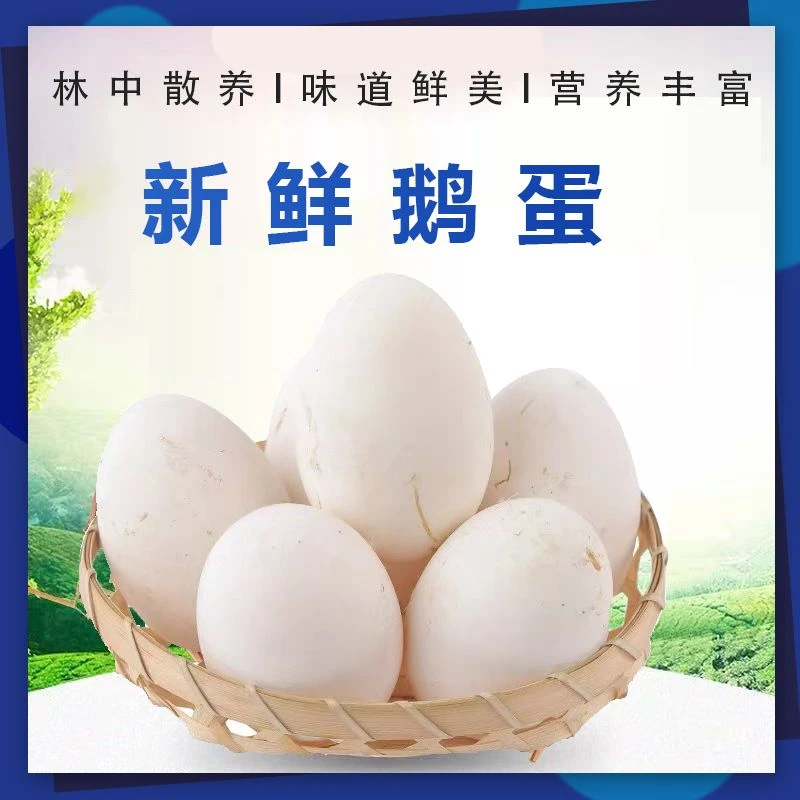 【雁鹅蛋】农家散养雁鹅蛋郎德鹅12枚单黄初生蛋80-100克包邮到家