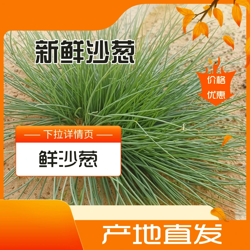 【顺丰直发】新鲜沙葱现发