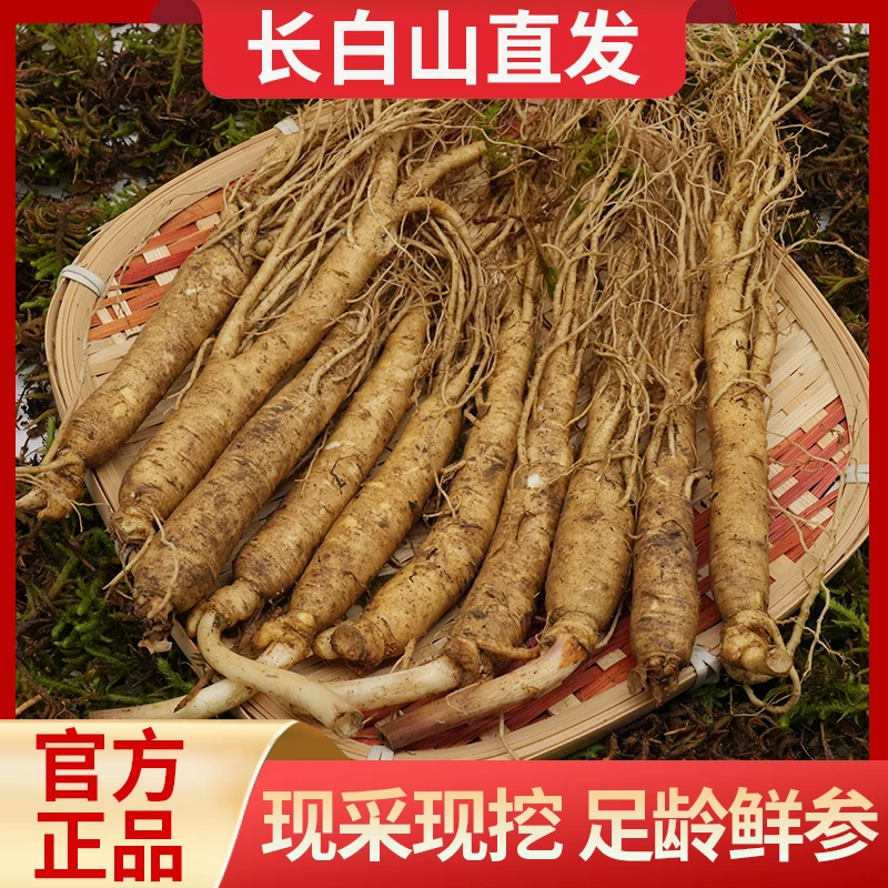 【产地直发】正宗长白山新鲜人参现挖现卖带土人参官方正品泡水煲汤