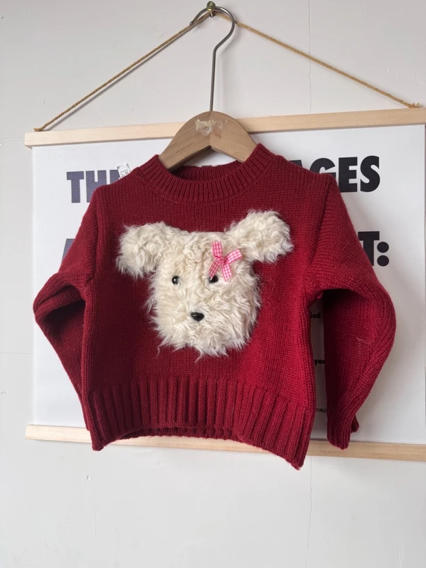 H21红色小狗加厚毛衣