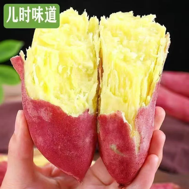 正宗沙土地新鲜现挖板栗红薯软糯香甜粉面无筋无丝代餐