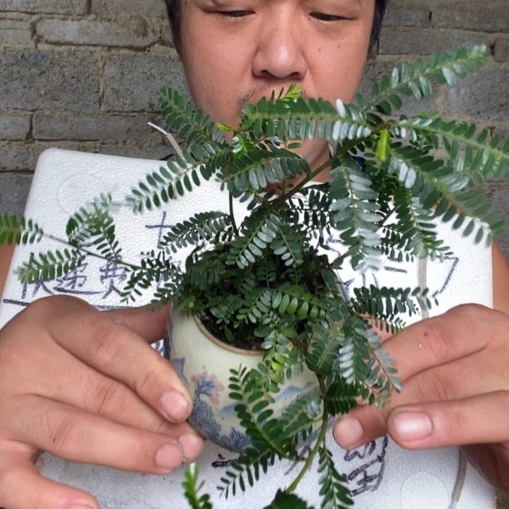 退款拉黑一物一拍66
