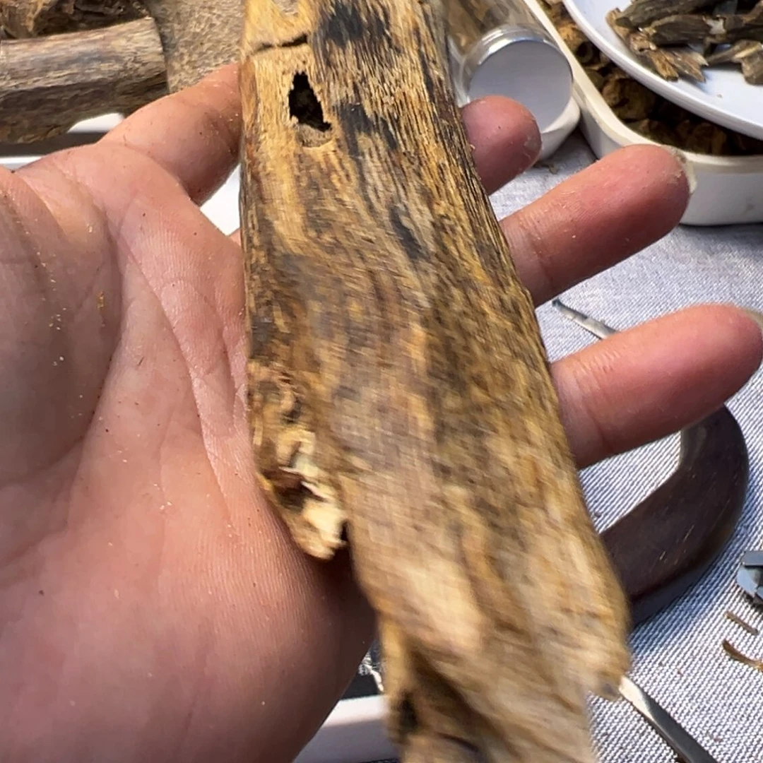 沉香沉香碎屑千里香虫漏