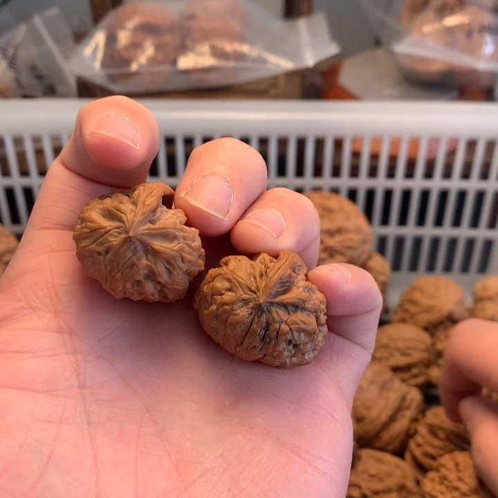 把件文玩核桃爬蛇