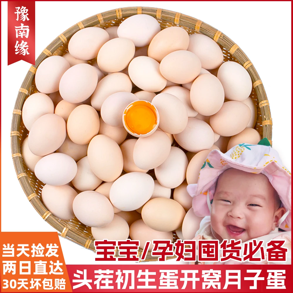 【邮政甄选】新鲜10枚农家散养初生蛋40g小母鸡开窝头茬土鸡蛋