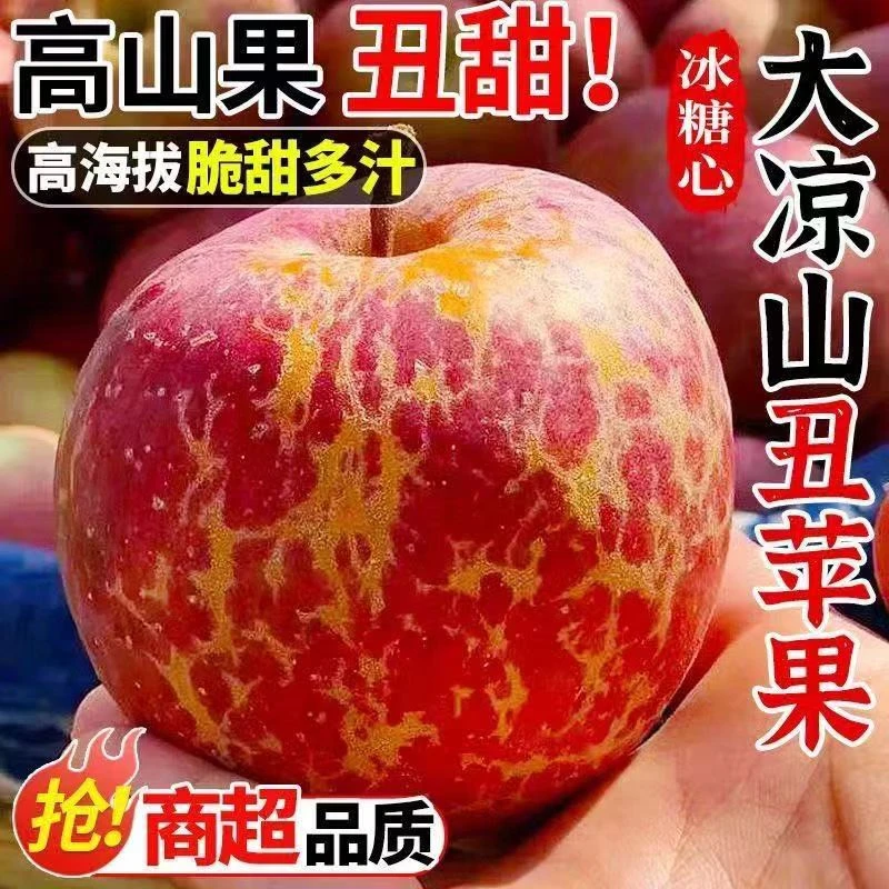 D大凉山盐源高山老树丑苹果红富士苹果现摘现发坏果包赔