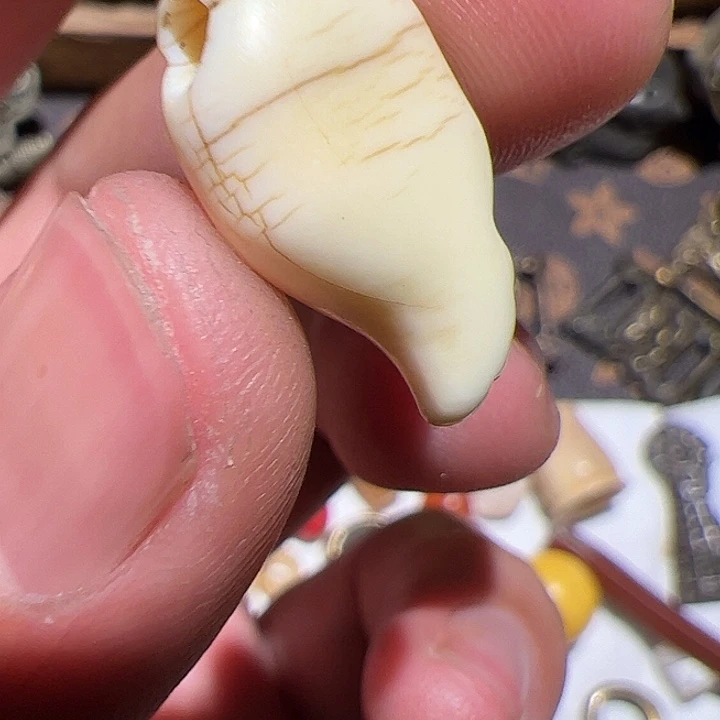 香榧木小*在家了。