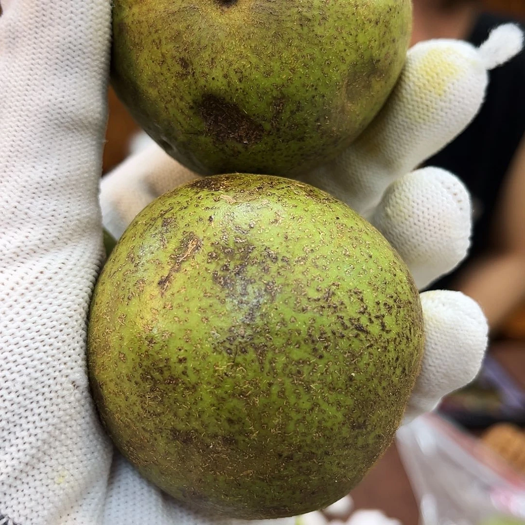 文玩核桃吊坠苹果园