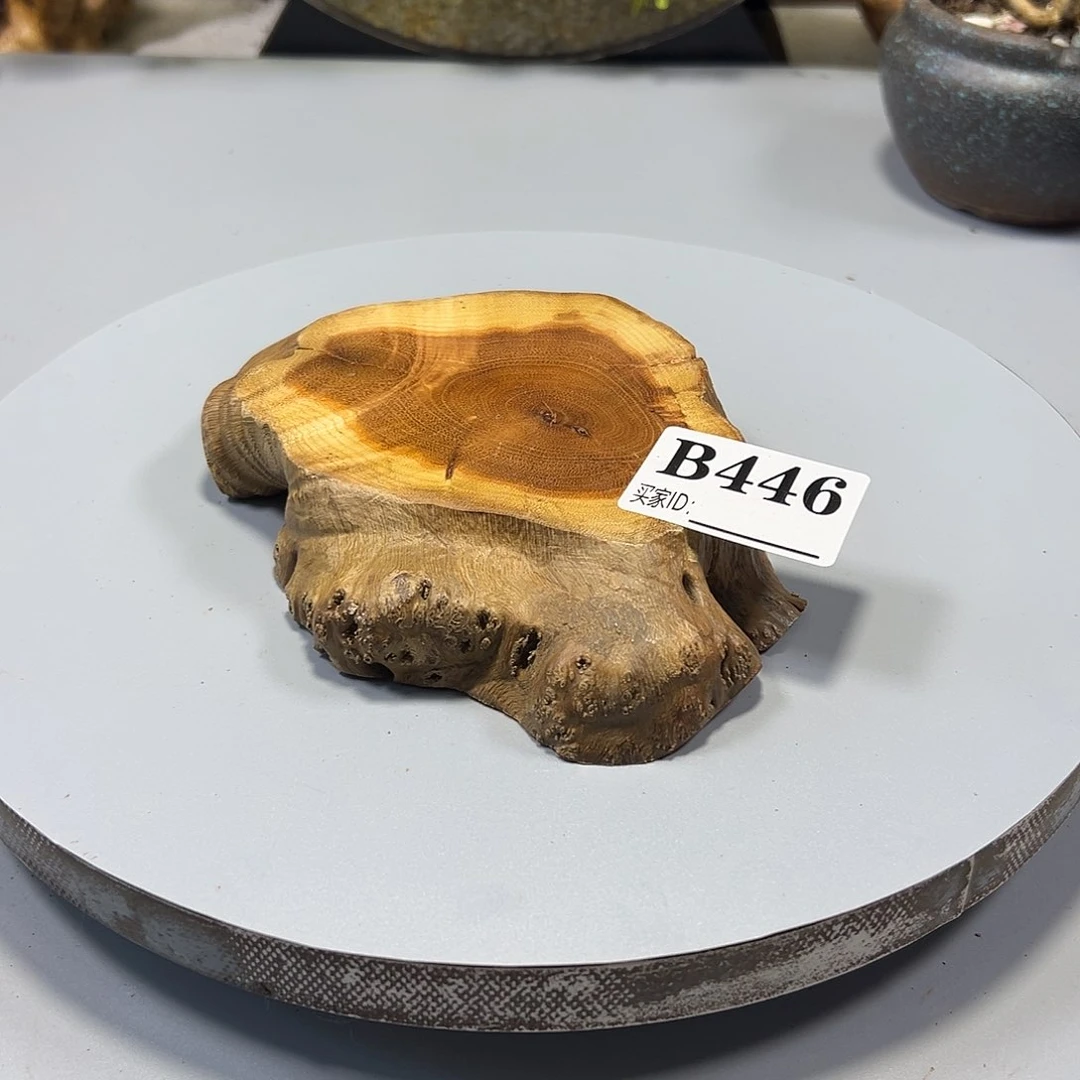 大果紫檀（缅甸花梨）天**勤