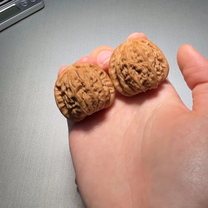 把件文玩核桃白狮子794