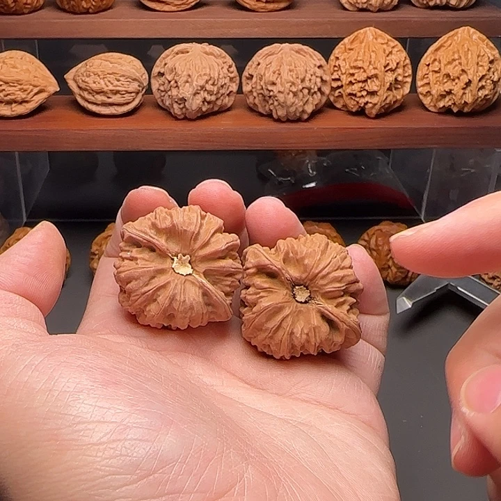 把件文玩核桃40卡姿兰凹底