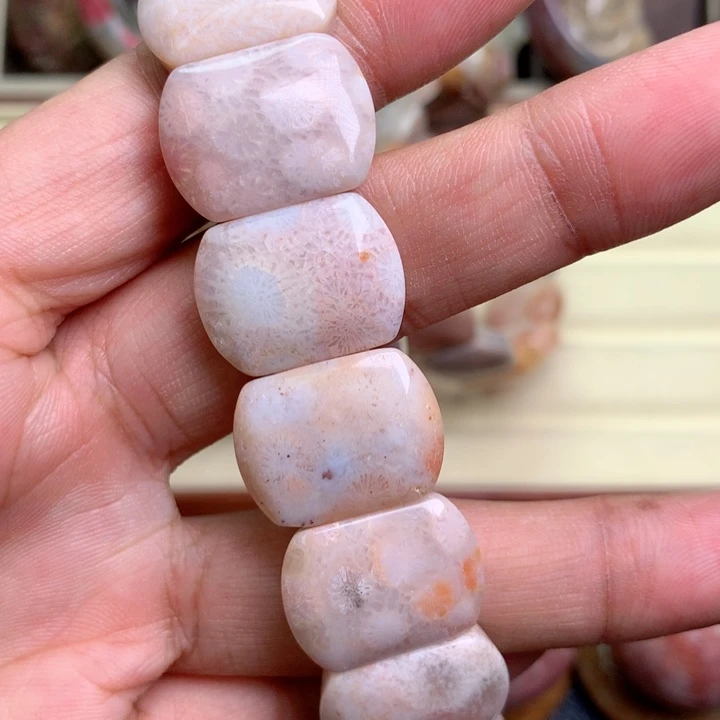 硅化珊瑚（珊瑚玉）未镶嵌颈饰