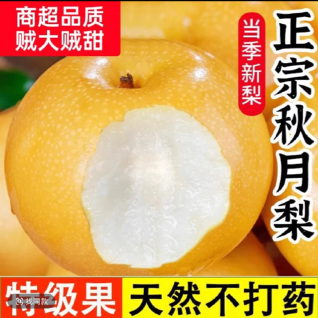 正宗秋月梨香甜细腻皮薄爽口一箱6个