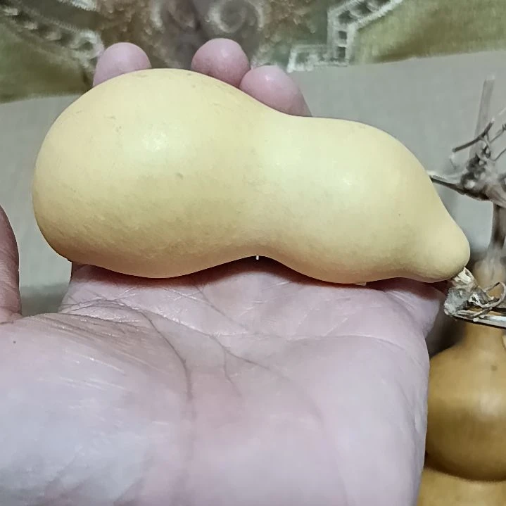 花****子葫芦葫芦葫芦葫芦葫芦葫芦