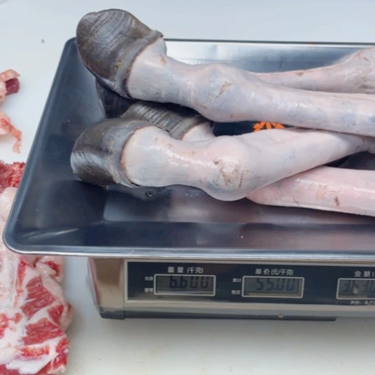 【闪购商品】冷冻保存30天包装河北省人**途