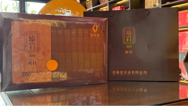 武夷星 臻岩 3000 肉桂