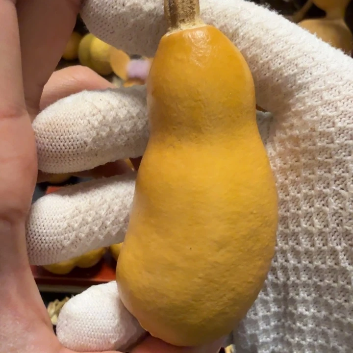 刘***06666……………………………………