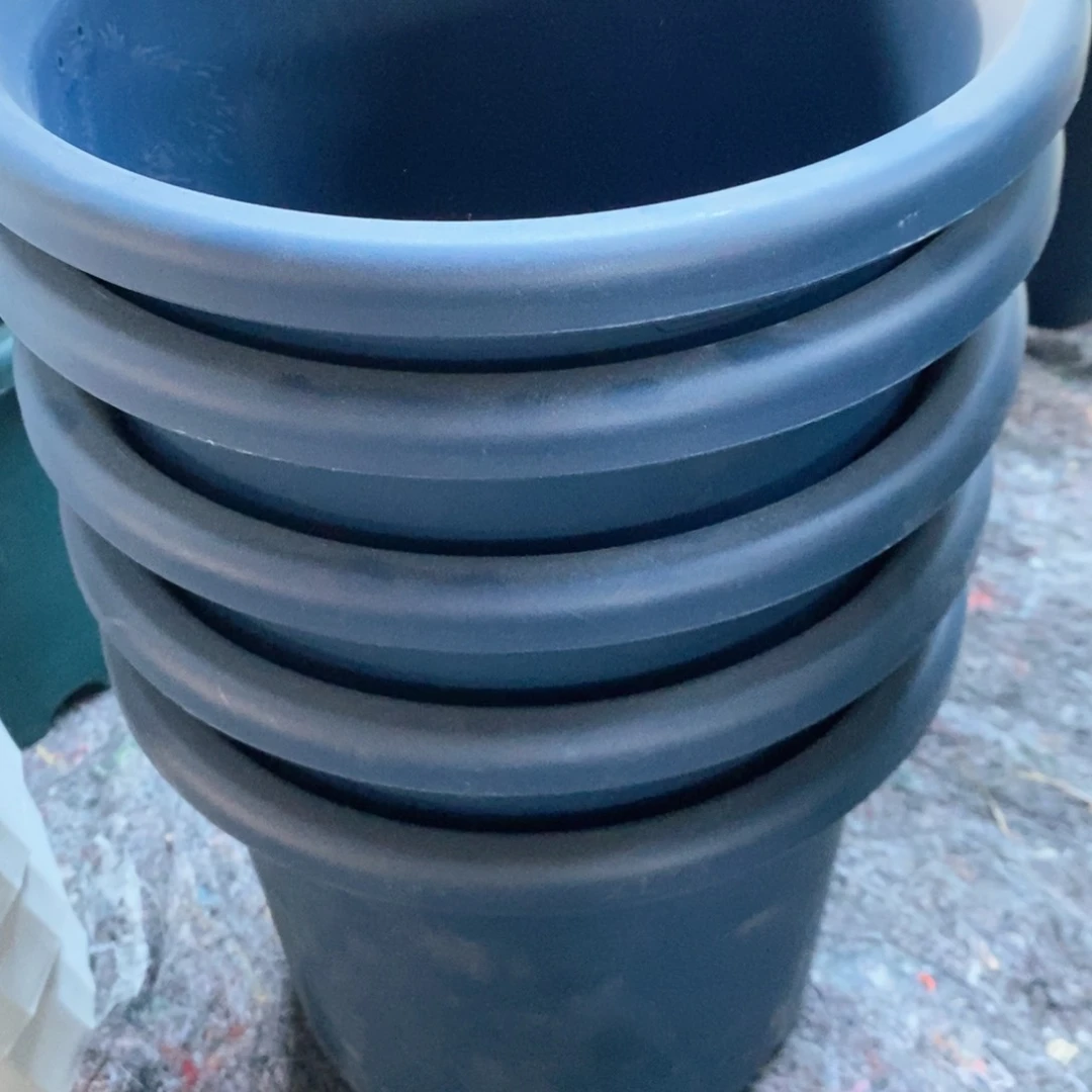 树脂5个爱丽丝8号蓝色无托