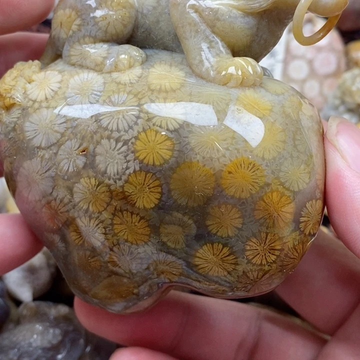 颈饰未镶嵌硅化珊瑚（珊瑚玉）